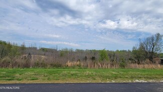 450 Pointe Vista Dr, Rockwood, TN 37854