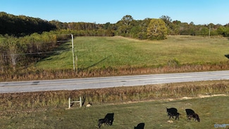 002 County Road 6, Piedmont, AL 36272