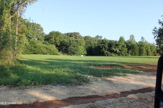 133 Bull Horn Dr, Como, MS 38619