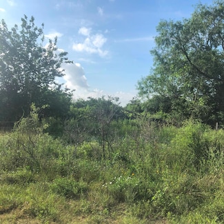 TBD Anaqua St, Beeville, TX 78102