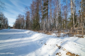 65318 S Parks Hwy, Willow, AK 99688