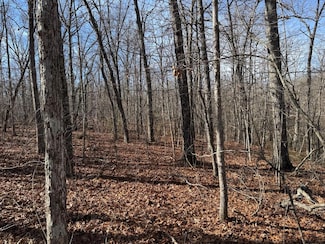 Lot 38 Crystal Point, Monterey, TN 38574