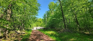 27 Birch Ln, Parksville, NY 12768