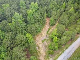 8850 Tom Taylor Rd, Northport, AL 35473