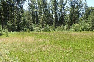 0 Lot 5 Edelweiss Plat No 1 Unit 1145957, Mazama, WA 98833
