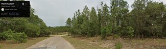 1902 W Adelia Place, Citrus Springs, FL 34434