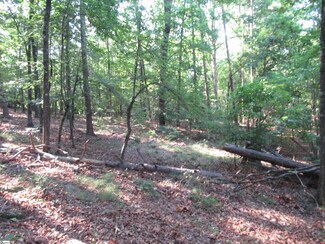 00 Murphy Rd Unit 3.2 acres S. Side Mu, Sunset, SC 29685