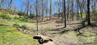 31 Sweet Fern Pkwy Unit 42, Asheville, NC 28804