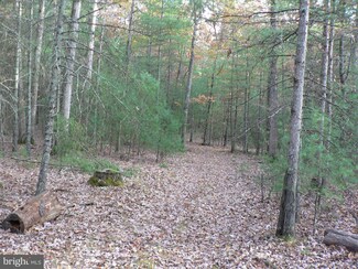 0 Sweedlin Valley Rd Unit 1002359508, Fort Seybert, WV 26802