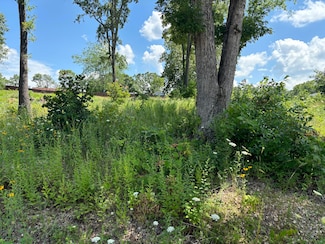 56 N Fork Ln, Williams Township, MO 65747