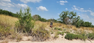 1770 Pimienta Rd, Rio Grande City, TX 78582