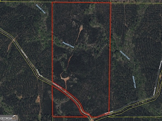 0 Carlisle Gap Rd, Woodland, GA 31836