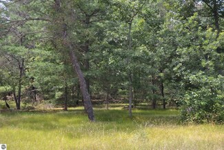 Par C E Higgins Lake Dr, Gerrish Township, MI 48653