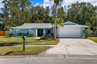 16713 Foothill Dr, Tampa, FL 33624