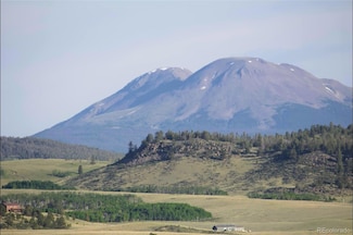 767 Brahma Cir Unit 928, Hartsel, CO 80449