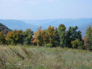 136.50 ac Nc 8362, Jasper, AR 72641