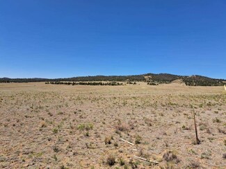 104 Navajo Trail, Hartsel, CO 80449