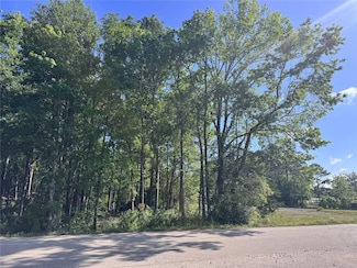 TBD Railroad Ave, Shepherd, TX 77371