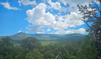 33036 Raton Overlook, Trinidad, CO 81082