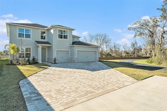 22990 Scaglione Dr, Lutz, FL 33549
