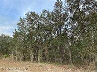 6383 S Spotted Sandpiper Point, Lecanto, FL 34461