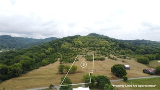 0 Smith Bend Ln Unit RTC2958013, Gainesboro, TN 38562