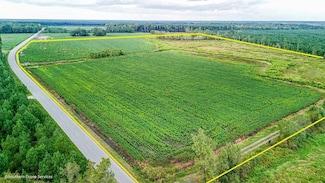 Tbd Firetower Rd Lot Unit WP001, Blenheim, SC 29516