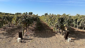 2760 S Valentine Ave, Fresno, CA 93706