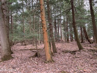 1372 Logtown Rd, Sprakers, NY 12166