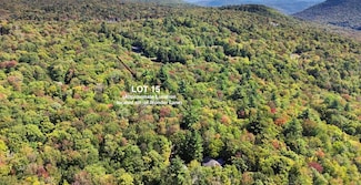 000 Wonder Ln Unit LOT 15, Jamaica, VT 05343