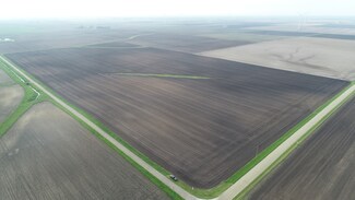 Lot 1 - 00 E 400 Rd N, Bellflower Township, IL