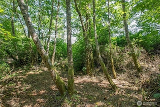 0 XXX Lake Mastie Rd, Coupeville, WA 98239