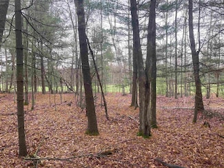 252 Berry Ln, Wisconsin Dells, WI 53965
