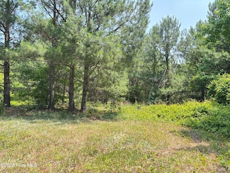 Lot 23 Buckhorn Church, Como, NC 27818