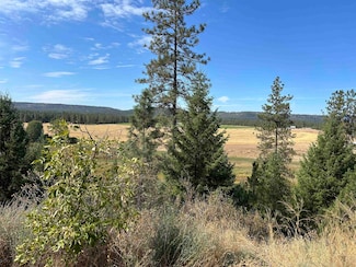 4256 Washington 231, Springdale, WA 99173