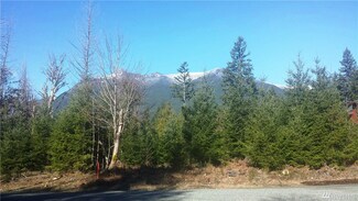 0 Deer Park Ln Unit 1103065, Packwood, WA 98361