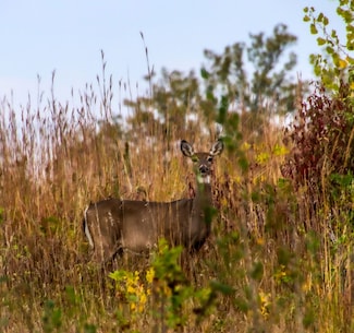 1539 County Road 26, Weston, NE 68070