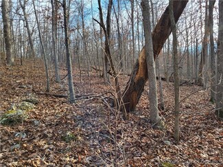 0 Lazy Acres Lots, Edwards, MO 65326