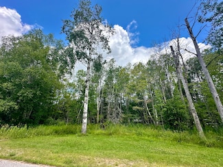 000 W Michigan Ave, Trout Lake, MI 49793
