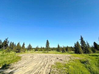 32800 Shorebird Ln, Anchor Point, AK 99556