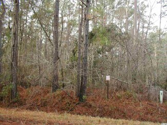 0 Blackjack Ln, Andrews, SC 29510