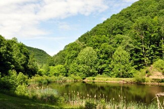 1 Snake Run Rd, Dawson, WV 24910