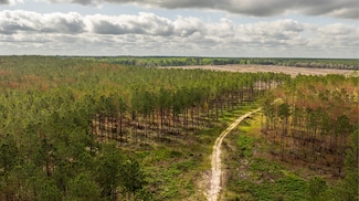 14912 Old Goolsby Place Rd, Florala, AL 36442