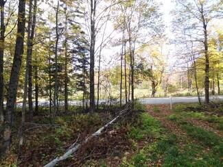 0 Route 155 Unit 4494639, Mount Holly, VT 05758