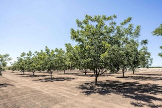 215 Red Hills Rd, Hatch, NM 87937
