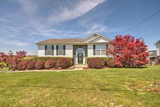 1238 Bowmantown Rd, Limestone, TN 37681