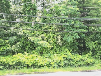 VL Yaphank Middle Island Rd, Yaphank, NY 11980