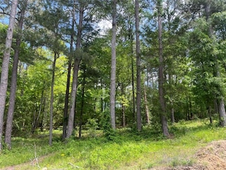 2517 Pinewood Dr NE, Conyers, GA 30012