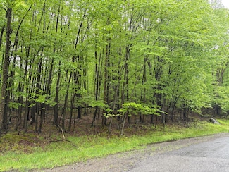 217 Samana Cay Rd, Dubois, PA 15801