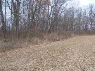 5000 E 900 S, Pine Village, IN 47975